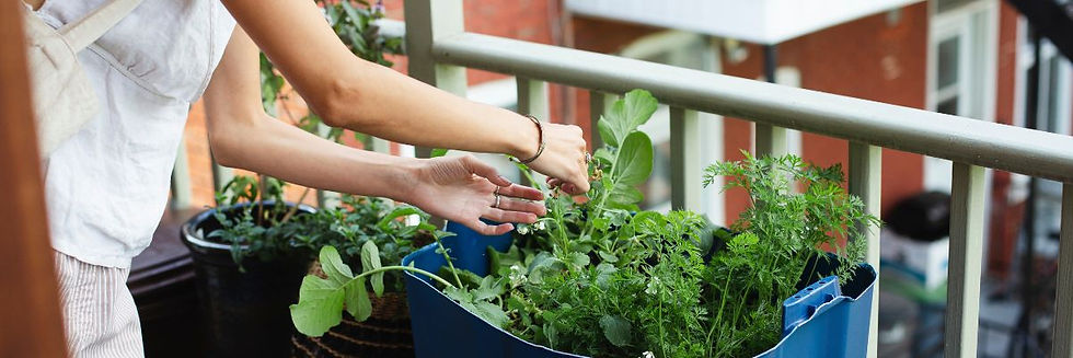 Urban Gardening: Wie du auf kleinem Raum erfolgreich Cannabis und andere Pflanzen anbaust