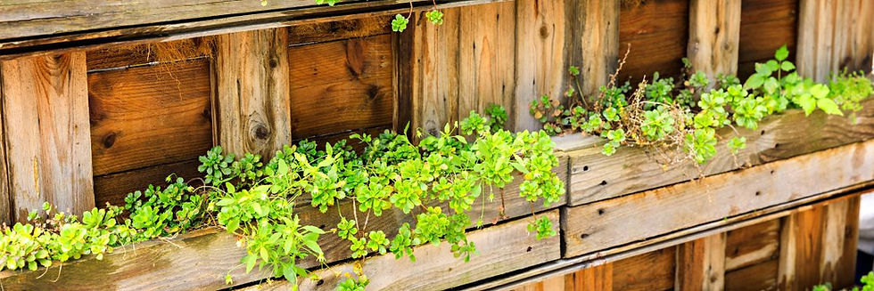 Vertikaler DIY Garten aus Paletten