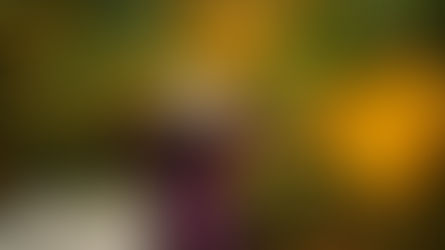 PHÉP XÃ GIAO THANH LỊCH