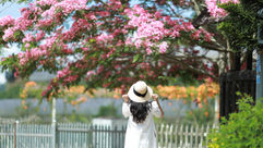 ĐỪNG NGẠI, ĐỪNG SỢ VÀ ĐỪNG MỘNG TƯỞNG