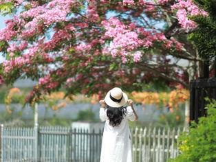ĐỪNG NGẠI, ĐỪNG SỢ VÀ ĐỪNG MỘNG TƯỞNG