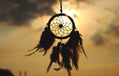 backlit-blur-close-up-dawn-279467.jpg