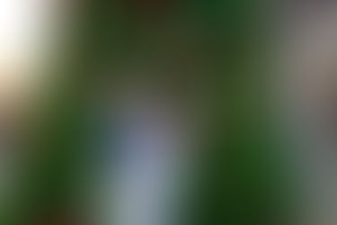 Happy Holidays Everyone!