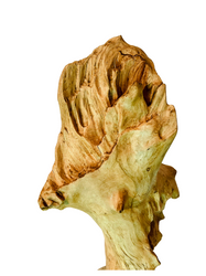 Antler 5.png