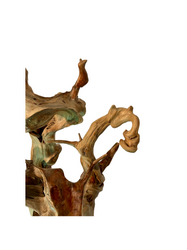 Expression 9.png