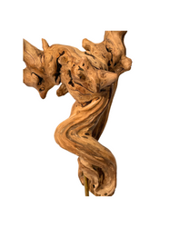 Twisted 5.png