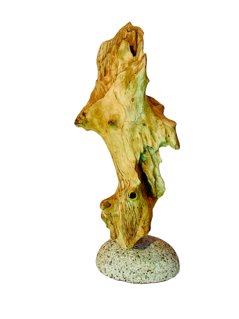 Antler 1.png
