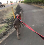 image7.jpeg