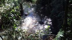 35d87b2f-3b54-46bc-87ca-ddd147841b45