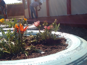 Projeto Escola Verde