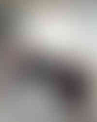 Desk assembly and installation for new staff