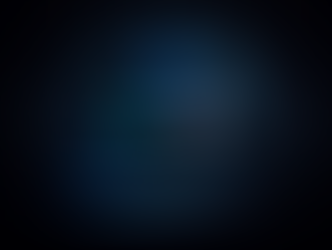 The Balanced Leader Framework