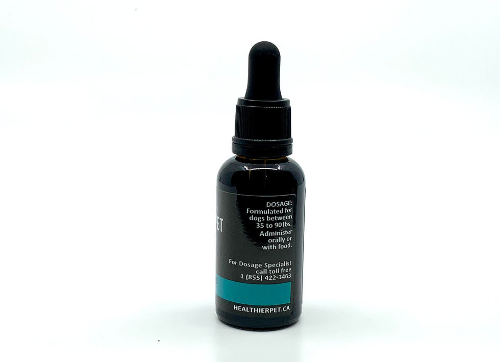 Thumbnail: CBD oil for pets