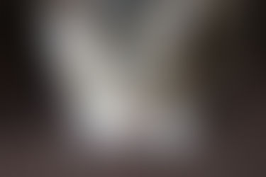 HOW HEALTHIER PET PRODUCTS CAN BE USED TO DRASTICALLY IMPROVE YOUR CAT’S LIFE