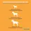 Thumbnail: MYOS Canine Muscle Formula 6.35 oz