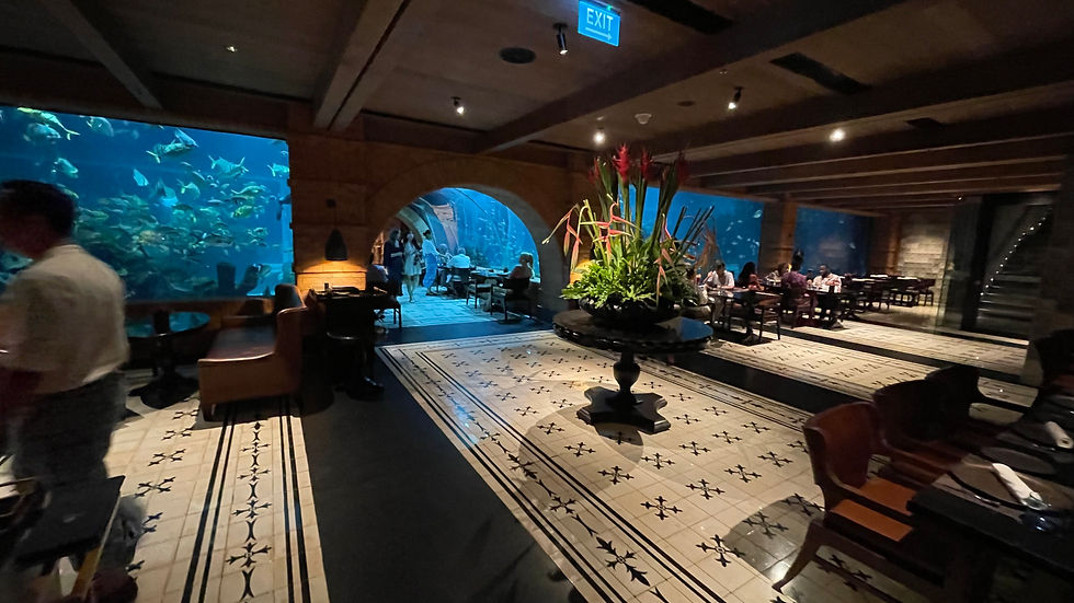 Uluwatu: A Memorable Night Underwater: My Unforgettable Experience at the Koral Restaurant in Bali