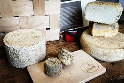 78866407_2514064962157274_59320309316897