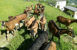 60976867_2359634674266971_23595997046536