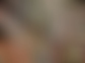 Bücherverkauf aus unserem Bestand