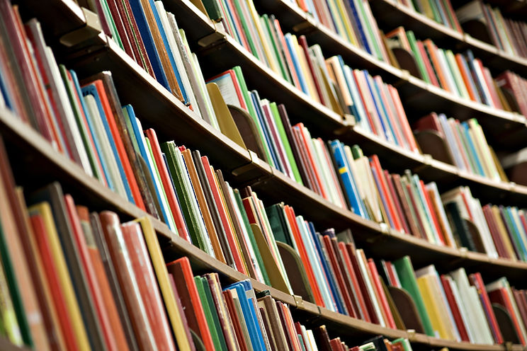Library Book Shelves