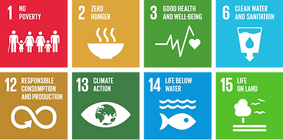 sdg.png