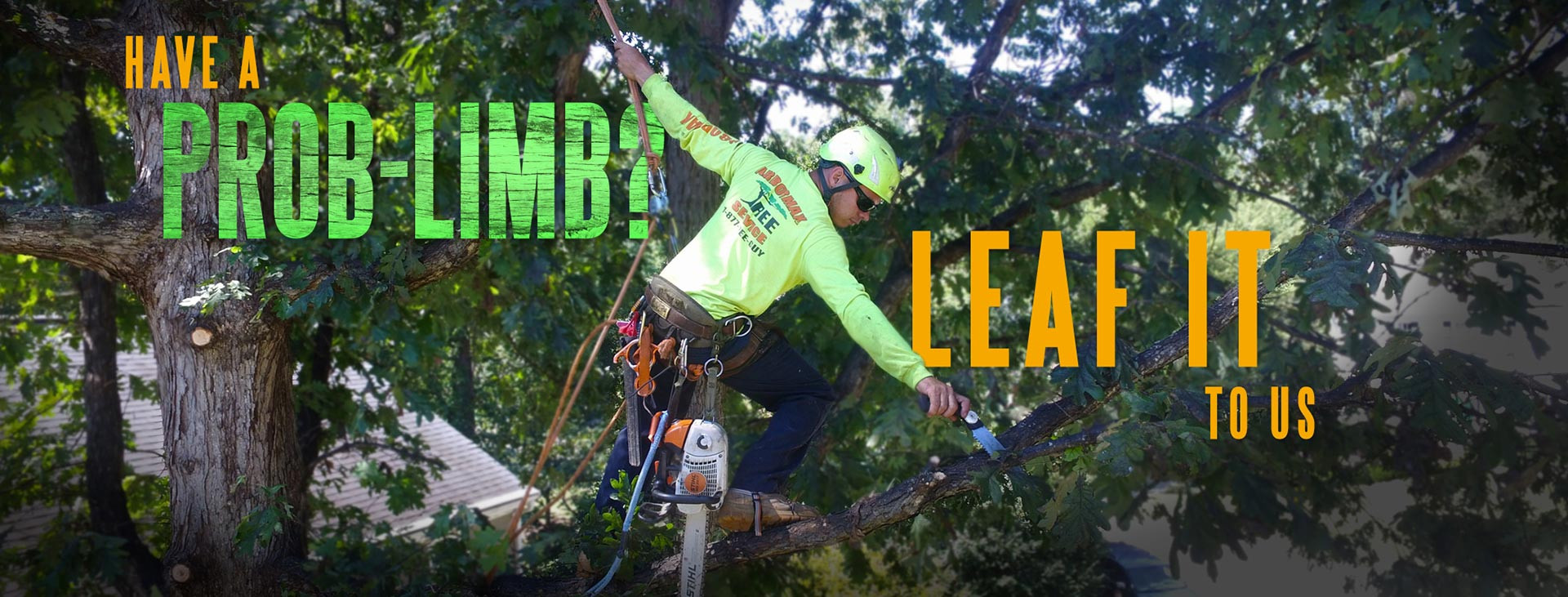 Arbormax Tree Service Wilmington Tree Removal Tree Services