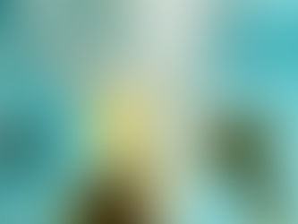 אנו שמחים להעביר לידיעתכם את הודעת משרד החקלאות וכן את תגובתנו בנוגע לנושא דמי המים.