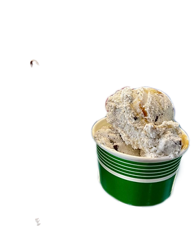 premium ice cream