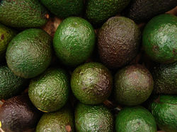 aguacate.jpeg