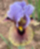 Eye to Eye_edited.jpg