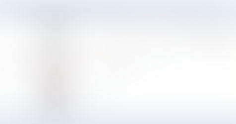 Investment Thesis for 2017