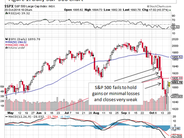 Further Market Downside is Likely
