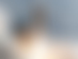 Behavioral Study of the Challenger Disaster