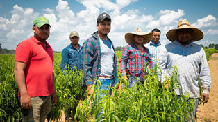 Case Study: Cumberland Valley Nurseries, Inc.