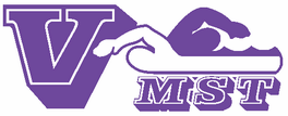 logo-VMST.gif