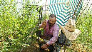 Case Study: Shady Rest Nursery