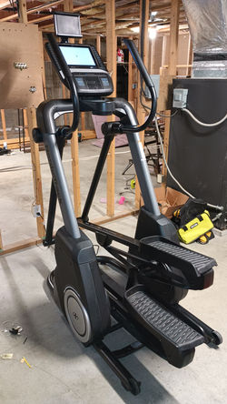 NordicTrack FreeStride Trainer