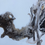 Thumbnail: Diptych in browns on a white background  14” x 11” on canvas