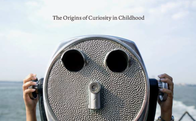 How Schools Kill Curiosity
