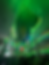 ree