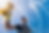 shutterstock_1531447214 (1).png