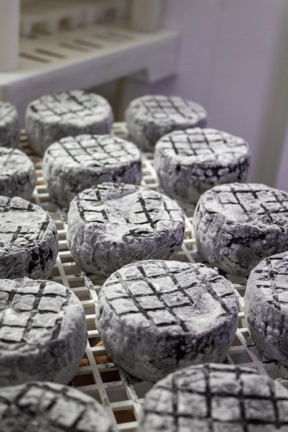 Thumbnail: Creamy from Mantiqueira