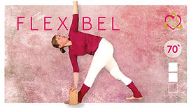 Asatoma-Flexibel_Titel.jpg