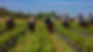 MM_0041_16X9_web.jpg