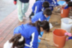 R7 11月26日 3年生大豆収穫