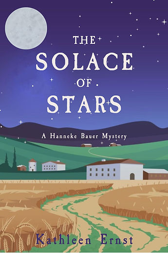 The Solace of Stars book cover