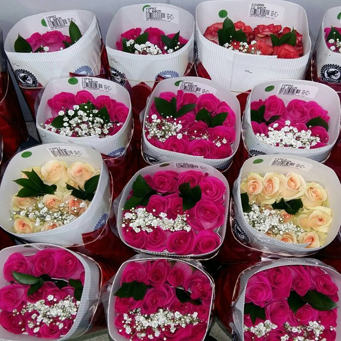 Área de Postcosecha