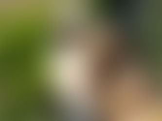 Da flogen nicht nur die Bienen. Werbefilm für einer der jüngsten Imker Deutschlands.