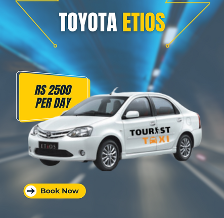 +91-7889539008 _reallygreatsite (1).png