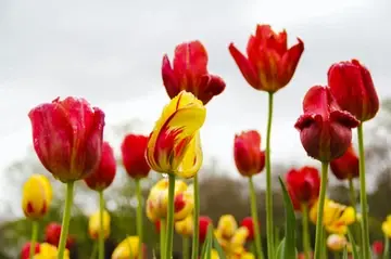untitled image